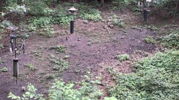 Weather camera view of Cincinnati Nature Center.