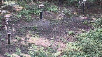 Weather camera view of Cincinnati Nature Center.