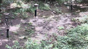 Weather camera view of Cincinnati Nature Center.