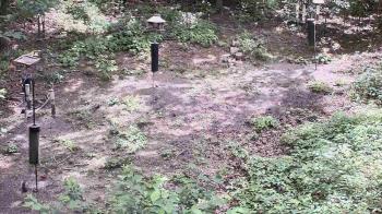 Weather camera view of Cincinnati Nature Center.