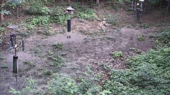 Weather camera view of Cincinnati Nature Center.