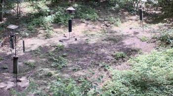 Weather camera view of Cincinnati Nature Center.