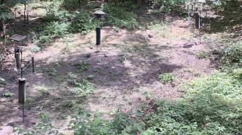 Weather camera view of Cincinnati Nature Center.