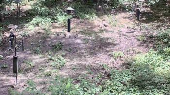 Weather camera view of Cincinnati Nature Center.
