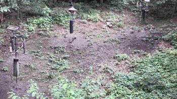Weather camera view of Cincinnati Nature Center.