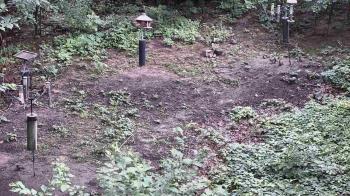 Weather camera view of Cincinnati Nature Center.
