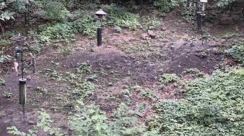 Weather camera view of Cincinnati Nature Center.