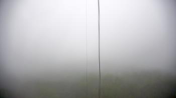 Weather camera view of Cartwright Mountain.