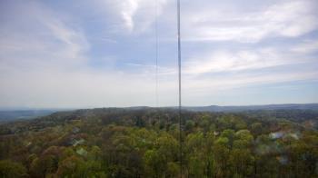 Weather camera view of Cartwright Mountain.
