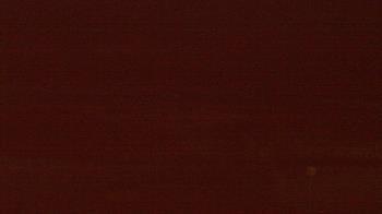 Weather camera view of Beach Patrol HQ.