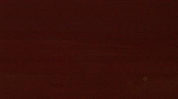 Weather camera view of Beach Patrol HQ.