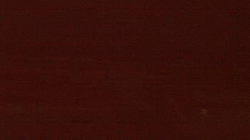 Weather camera view of Beach Patrol HQ.