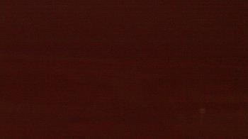 Weather camera view of Beach Patrol HQ.