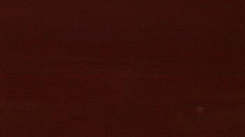 Weather camera view of Beach Patrol HQ.