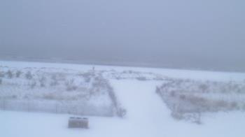 Weather camera view of Beach Patrol HQ.