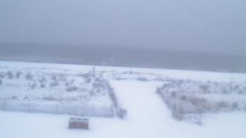Weather camera view of Beach Patrol HQ.