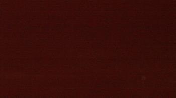 Weather camera view of Beach Patrol HQ.