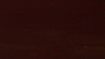 Weather camera view of Beach Patrol HQ.