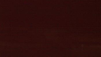 Weather camera view of Beach Patrol HQ.