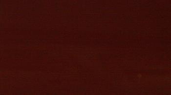 Weather camera view of Beach Patrol HQ.