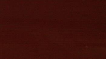 Weather camera view of Beach Patrol HQ.