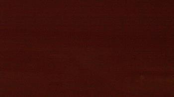 Weather camera view of Beach Patrol HQ.