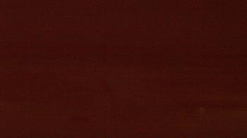 Weather camera view of Beach Patrol HQ.