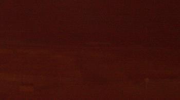 Weather camera view of Beach Patrol HQ.