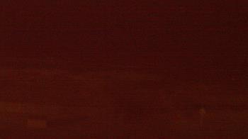 Weather camera view of Beach Patrol HQ.