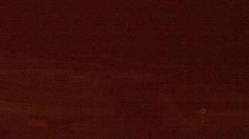 Weather camera view of Beach Patrol HQ.