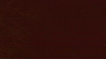 Weather camera view of Farmersville School.