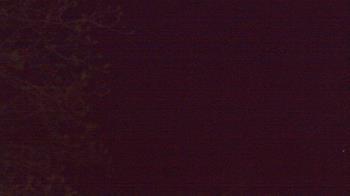 Weather camera view of Farmersville School.