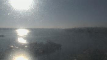 Weather camera view of Emerald Coast Marine.