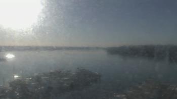 Weather camera view of Emerald Coast Marine.