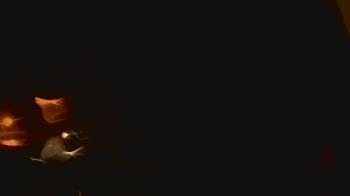 Weather camera view of John M Moriarty ES.