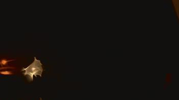 Weather camera view of John M Moriarty ES.