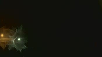 Weather camera view of John M Moriarty ES.