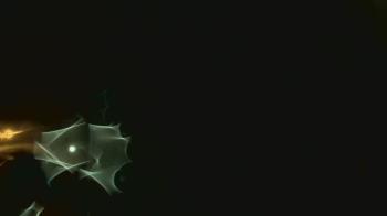 Weather camera view of John M Moriarty ES.