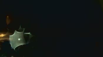 Weather camera view of John M Moriarty ES.