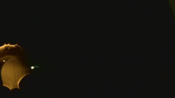 Weather camera view of John M Moriarty ES.