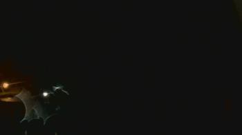 Weather camera view of John M Moriarty ES.