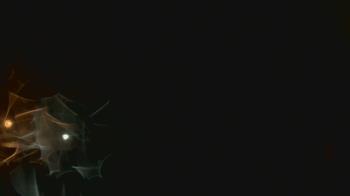 Weather camera view of John M Moriarty ES.