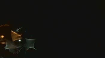 Weather camera view of John M Moriarty ES.