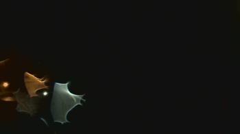 Weather camera view of John M Moriarty ES.