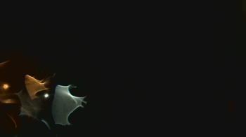 Weather camera view of John M Moriarty ES.