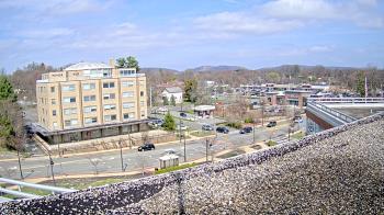 Weather camera view of County of Rockland.