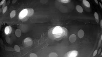 Weather camera view of Outer Island Education and Research.