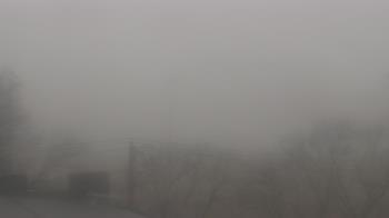 Weather camera view of Cold Spring School.