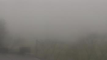 Weather camera view of Cold Spring School.