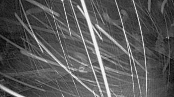 Weather camera view of St Johns Lutheran School.